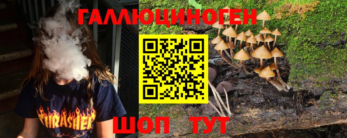 Галлюциногенные грибы Psilocybine cubensis Холмск